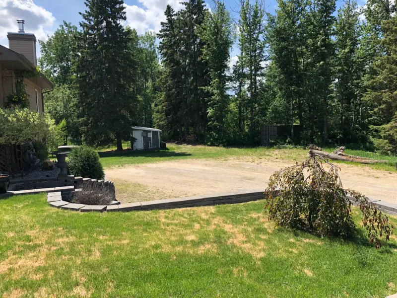 landscaped-yard-with-cleared-space A backyard with a patchy lawn features a small garden bed and a driveway. In the background, there are tall trees and a shed. A bent tree leans over the grass under a partly cloudy sky.